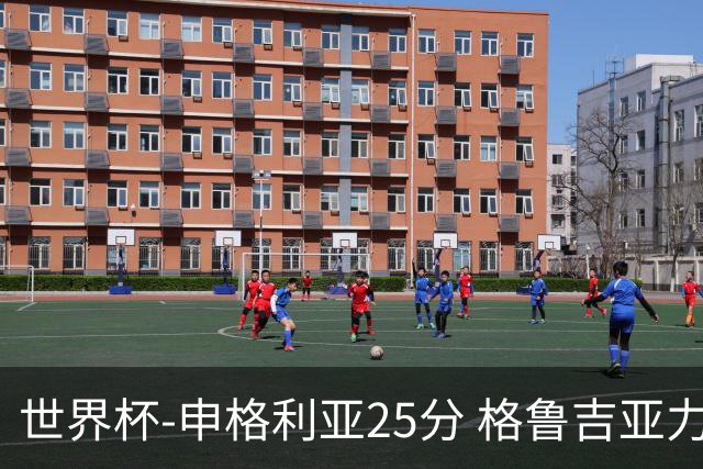 世界杯-申格利亚25分 格鲁吉亚力克委内瑞拉