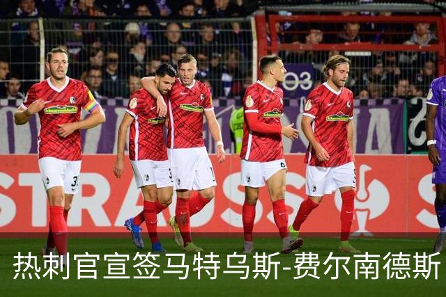 热刺官宣签马特乌斯-费尔南德斯 转会费8500万镑破纪录